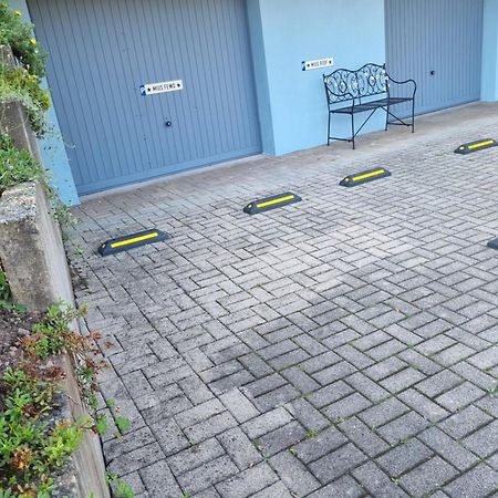 Miu'S Ferienwohnung Alpirsbach Eksteriør bilde